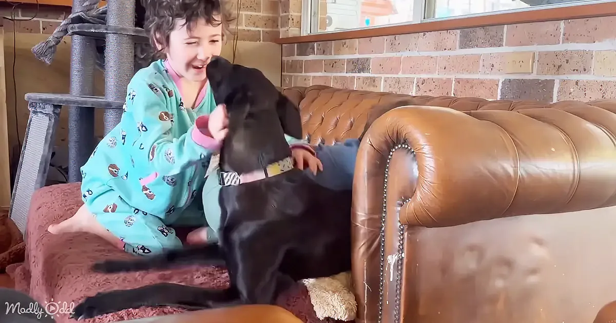 A child in pajamas sits on a couch, petting a black dog, both smiling.