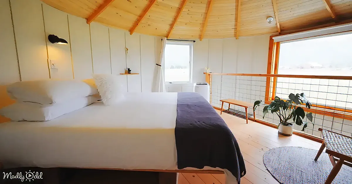 A cozy bedroom with a wooden ceiling, white walls, a large bed, and a window with a view of the outdoors.