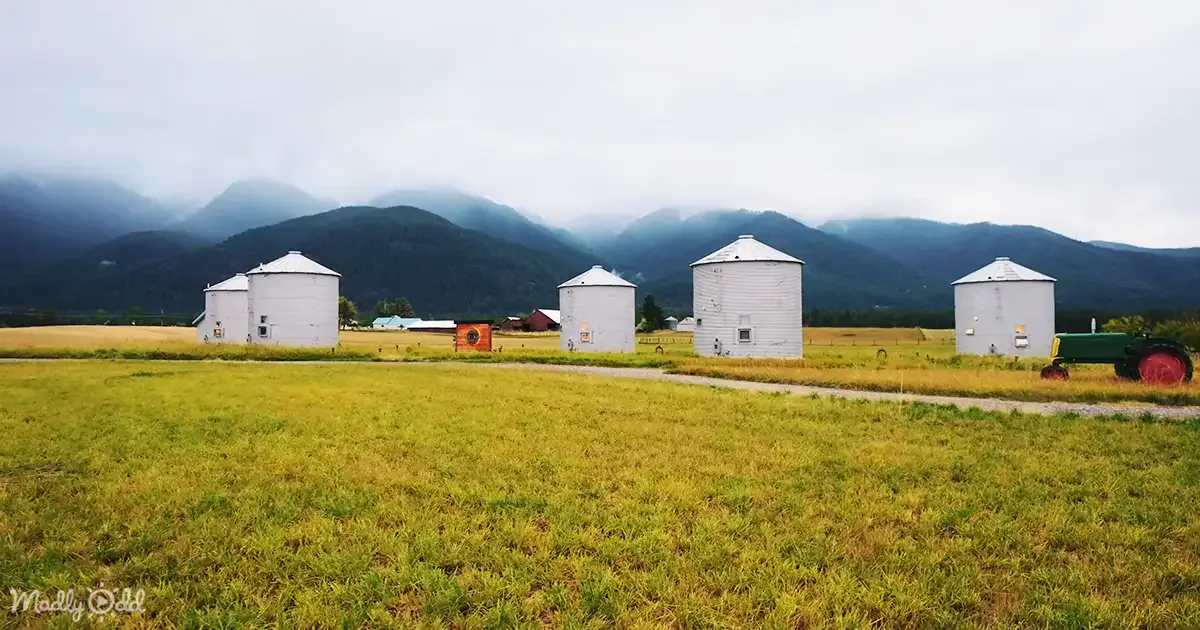 White silos stand in a field with mountains and fog in the background.