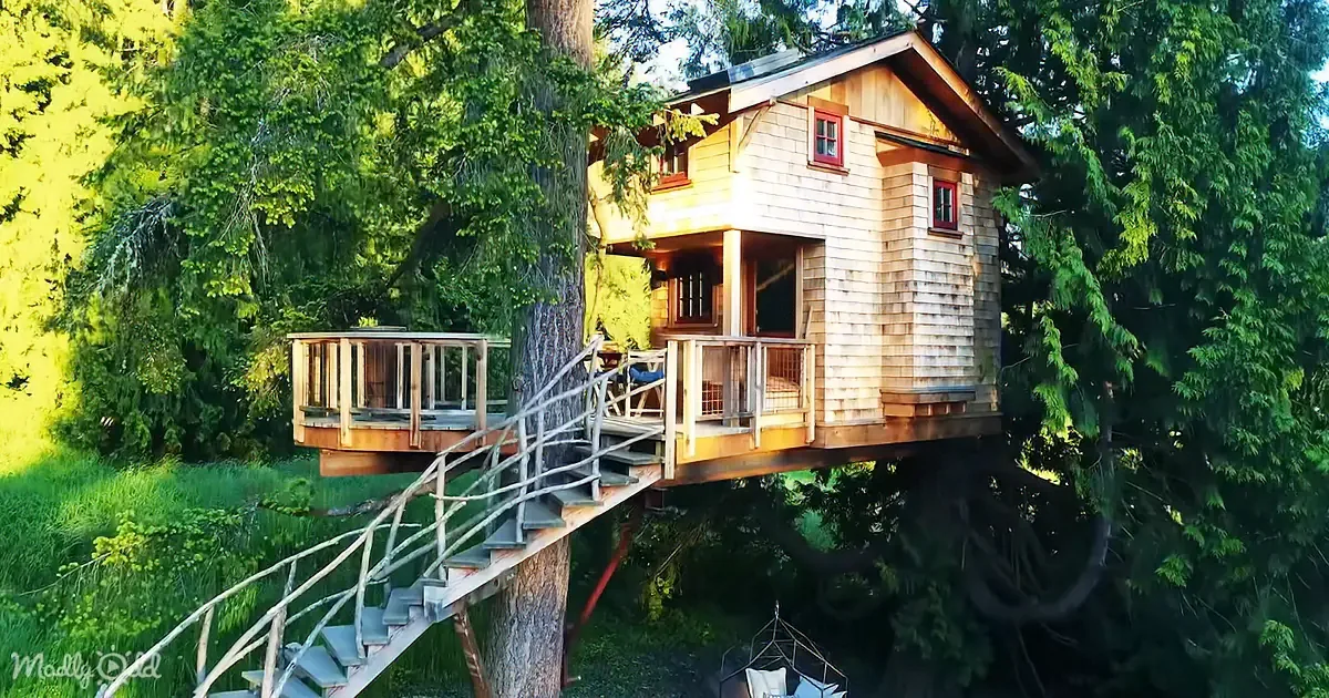 This Tiny Home Treehouse Makes You Feel Like the Swiss Family Robinson