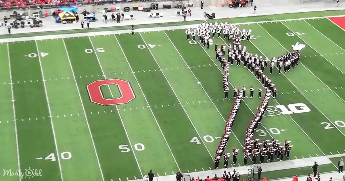 Marching Band's 'Moon Walk' Is the Coolest Thing You'll Come Across
