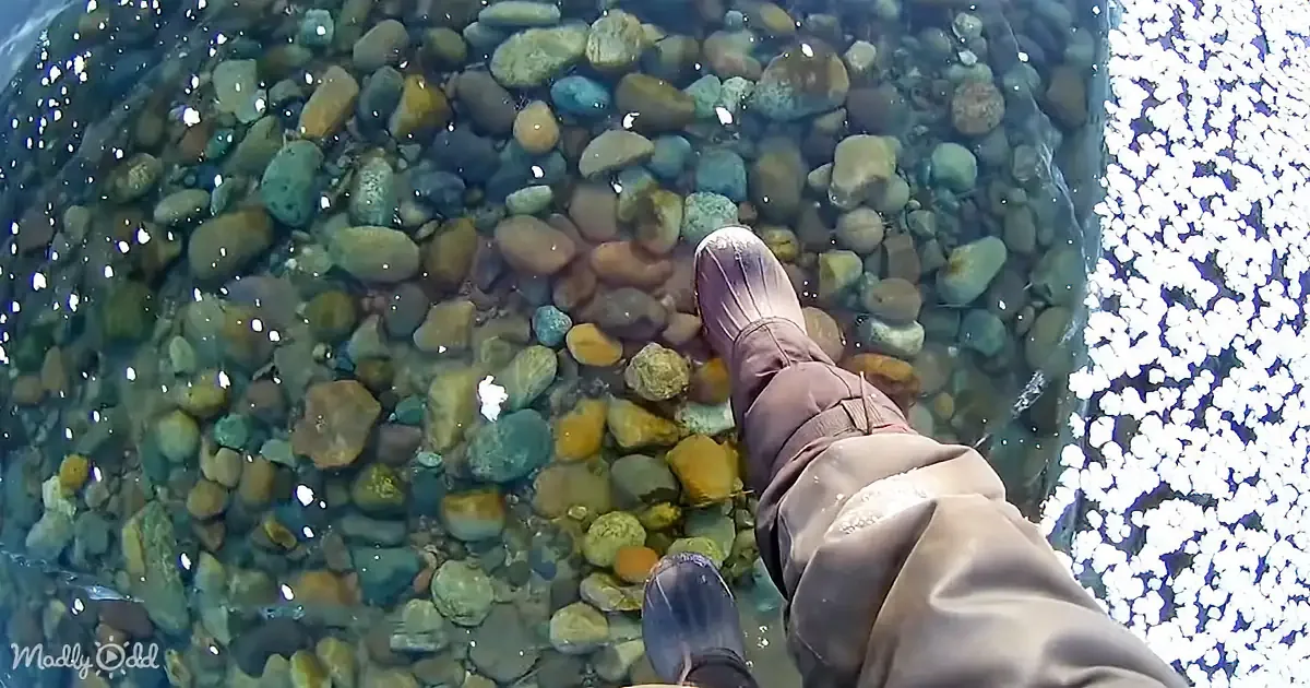 A person wearing boots stands in shallow water with colorful pebbles visible beneath.