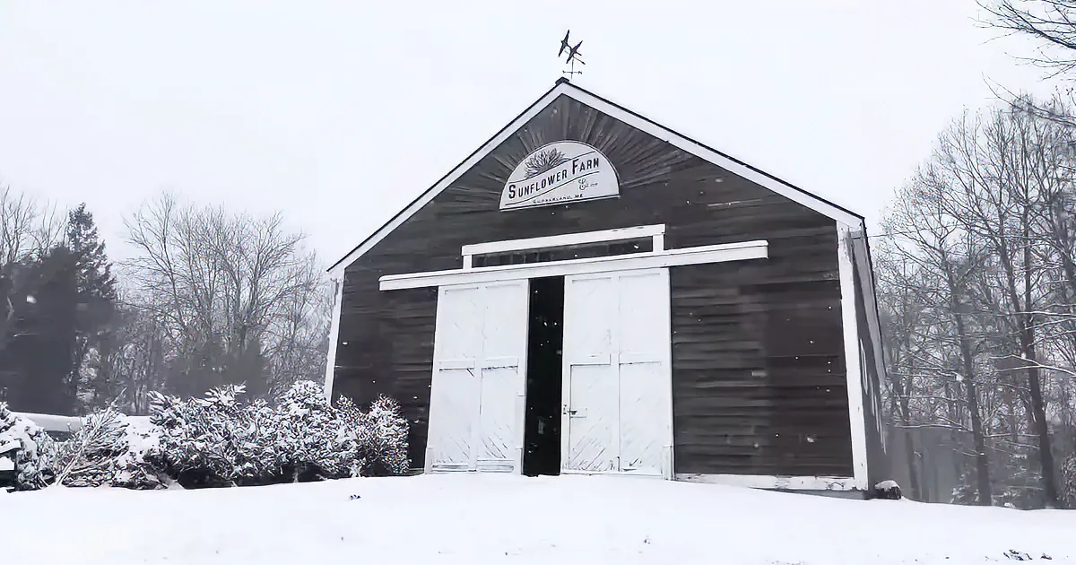 A snow-covered barn with "Sunflower Farm" sign, white doors, and weather vane atop, surrounded by snow-laden trees.