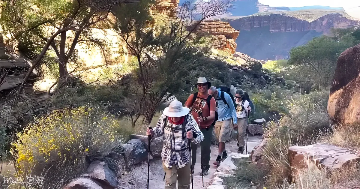 A group of hikers, including one in a plaid shirt and hat, ascends a rocky trail surrounded by shrubs and trees.