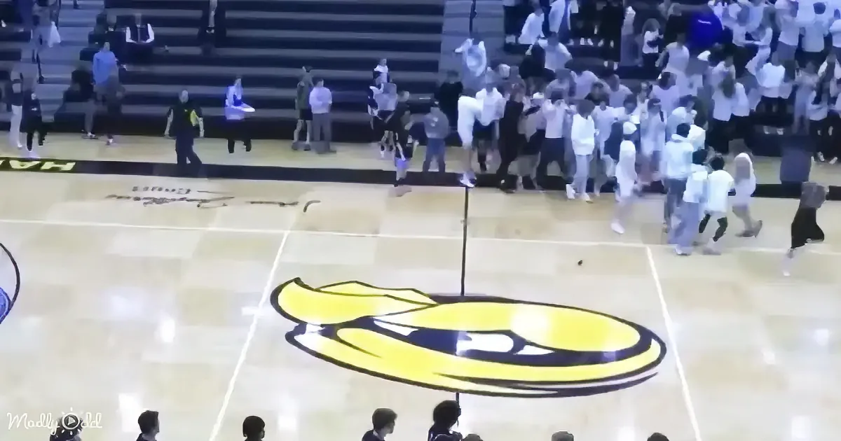 A basketball court with a banana logo, surrounded by people, with a crowd in the background.