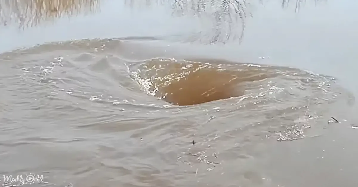 Monstrous Whirlpool Swallows Everything in Its Path