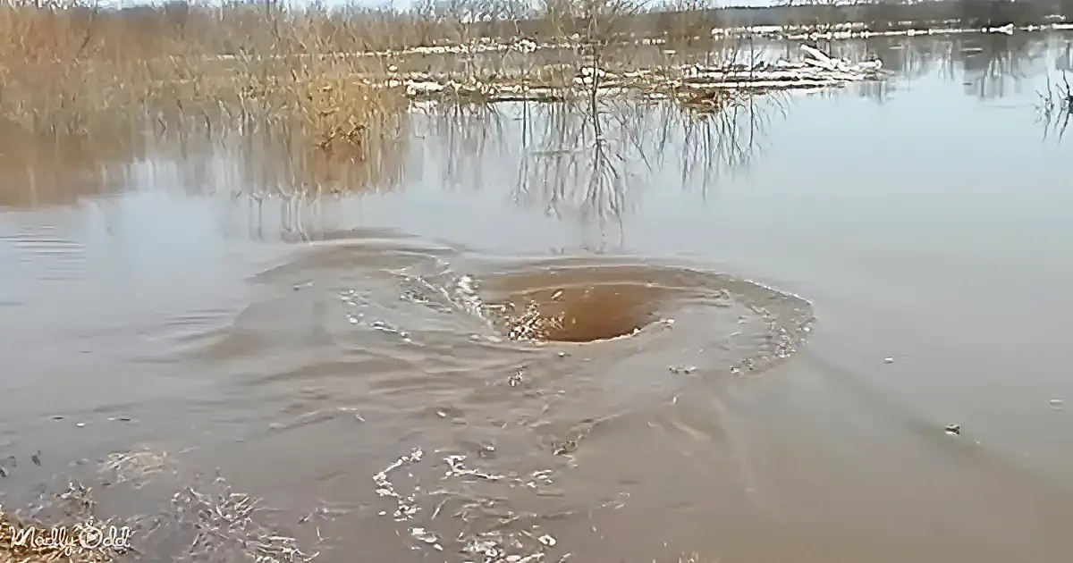 A large circular hole in the water with ripples spreading outward, surrounded by snow-covered trees and a calm lake.