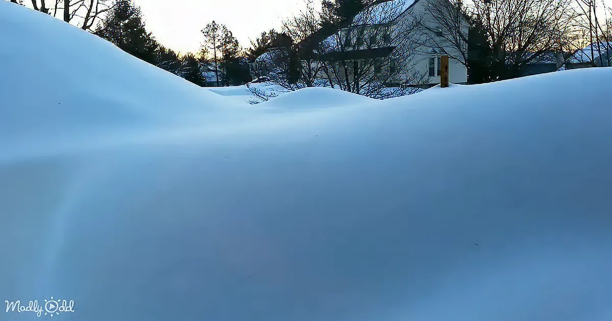 Captivating 48 Hour Backyard Time Lapse of Snow Blanketing Everything