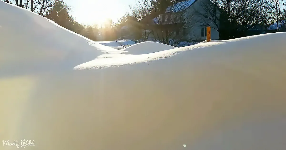 Snow-covered ground with a house and trees in the background, bathed in sunlight.