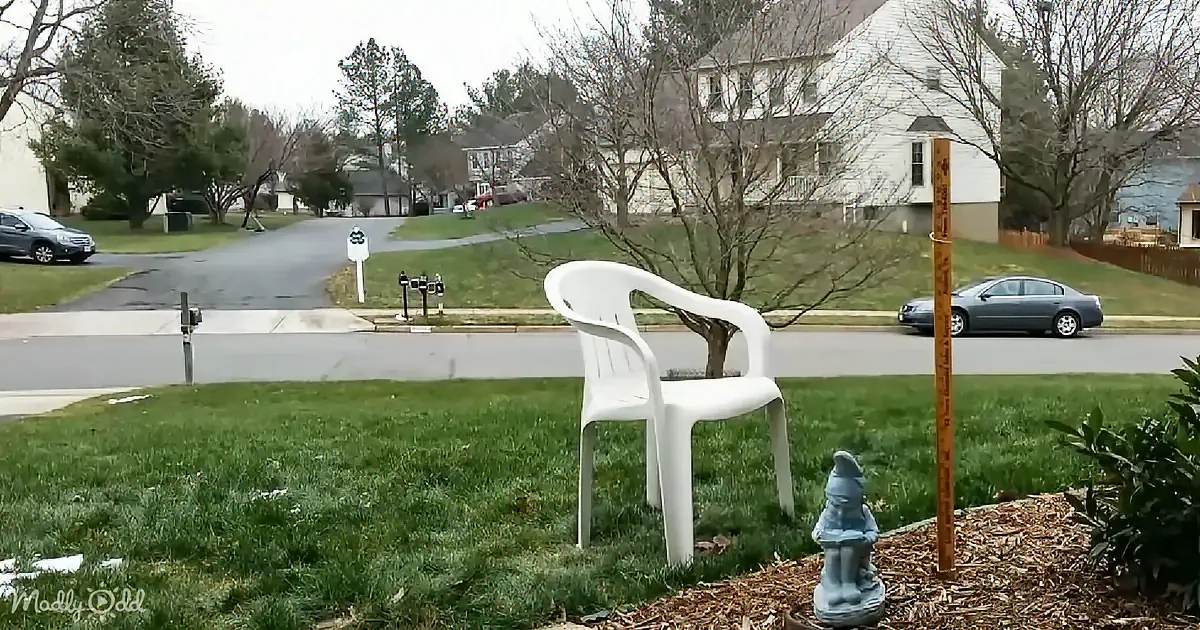 A white plastic chair sits on a grassy lawn near a small tree and a gnome statue.