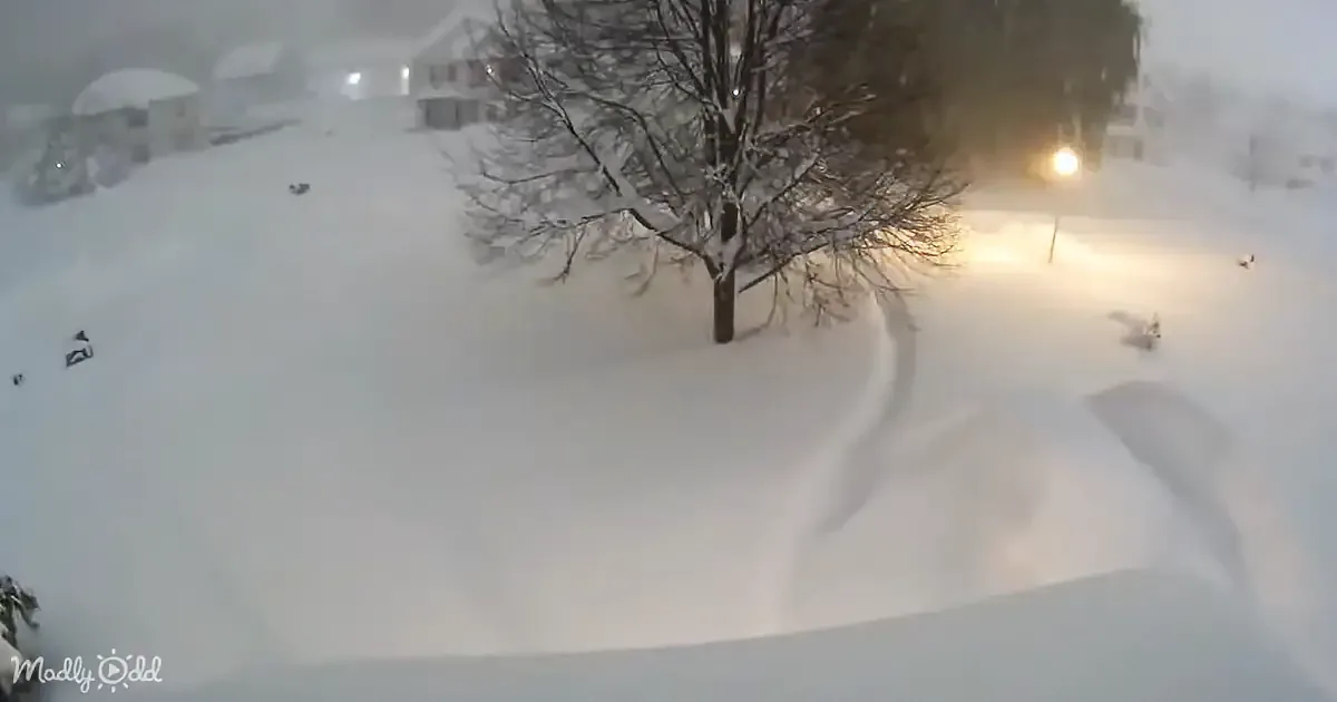 Time-Lapse Captures 6ft of Insane Snowfall in New York