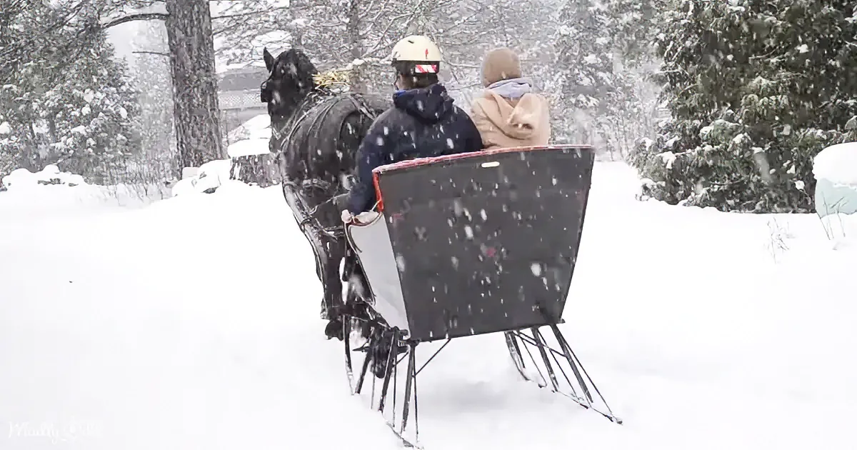 A horse pulls a sleigh through a snowy forest with two people in the back.