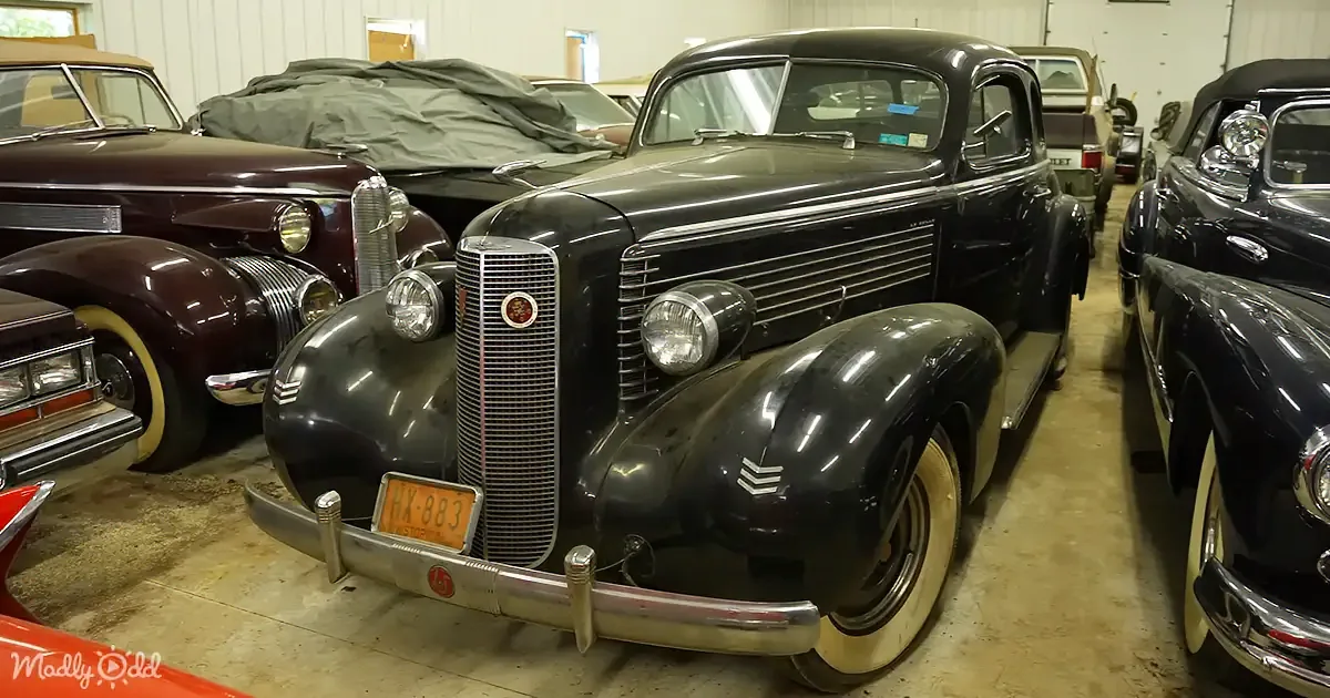 A classic black car with a distinctive grille and white wall tires is parked in a garage among other vintage vehicles.
