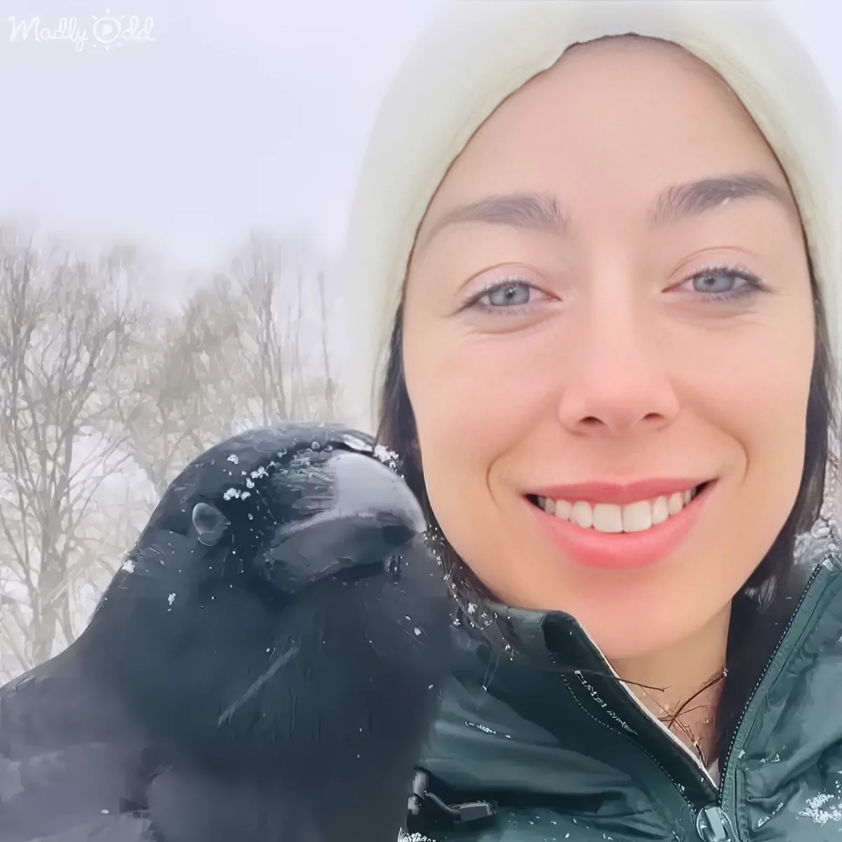 A person in a winter coat and hat smiles with a black bird perched on their shoulder, snow-covered trees in the background.