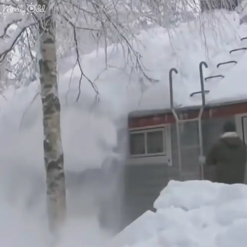 A person is clearing snow from a roof using a snow rake, surrounded by heavy snowfall and snow-covered trees.