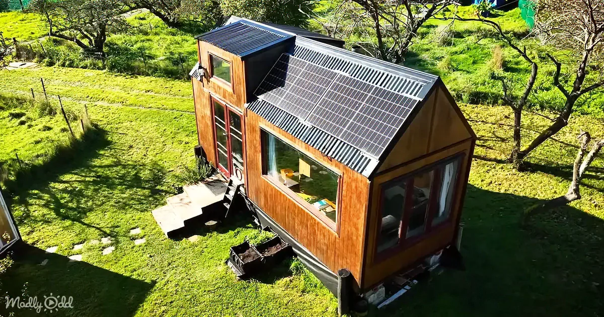 A small wooden cabin with solar panels on the roof sits on a grassy hillside, surrounded by trees and greenery.