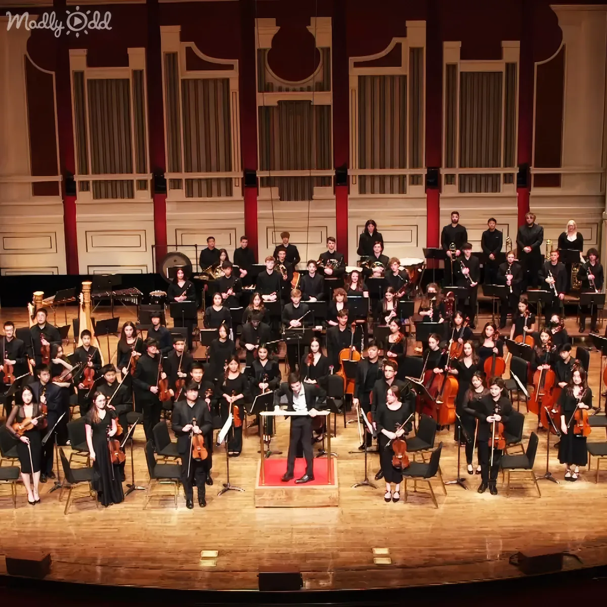 A conductor leads a large orchestra on stage in formal attire, surrounded by musicians with various instruments.
