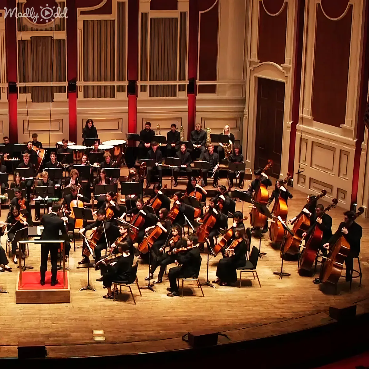 An orchestra in formal attire performs on a stage with a conductor leading.