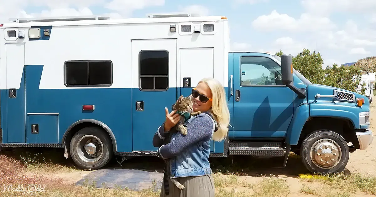 Woman Reinvents Vintage Ambulance Into Cozy Cat-Friendly Tiny Home