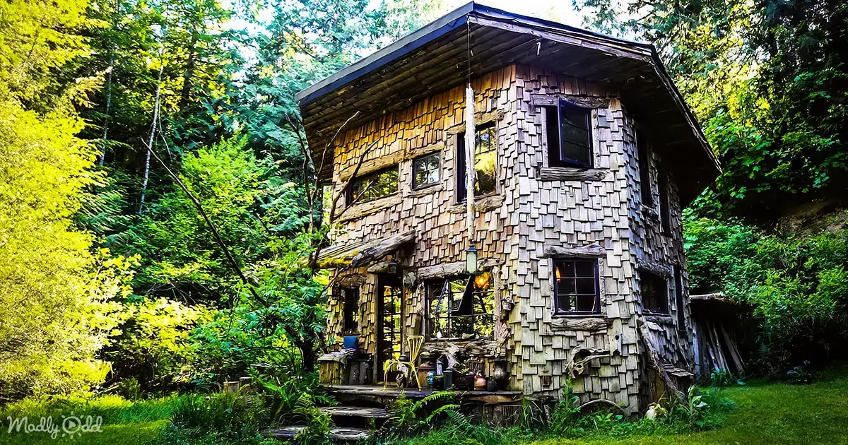 Magical Woodland Cabin Built for $30k Charms Over 3 Million Viewers