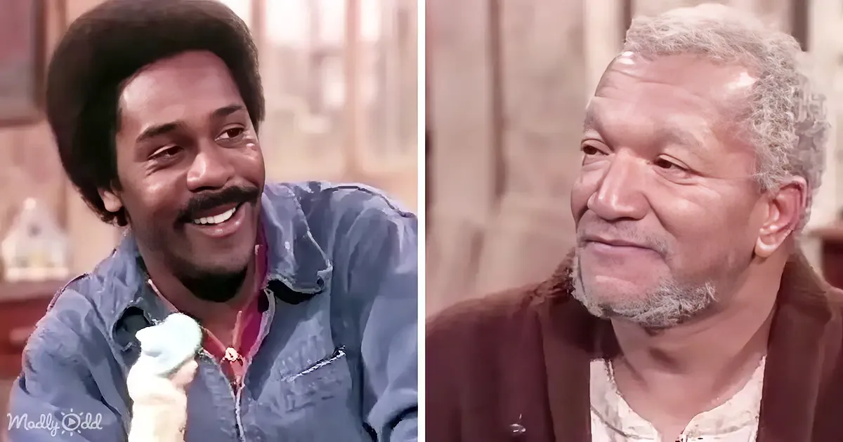 Lamont Takes 'Sanford and Son' by Storm With a Royal Toilet Discovery in 1974!