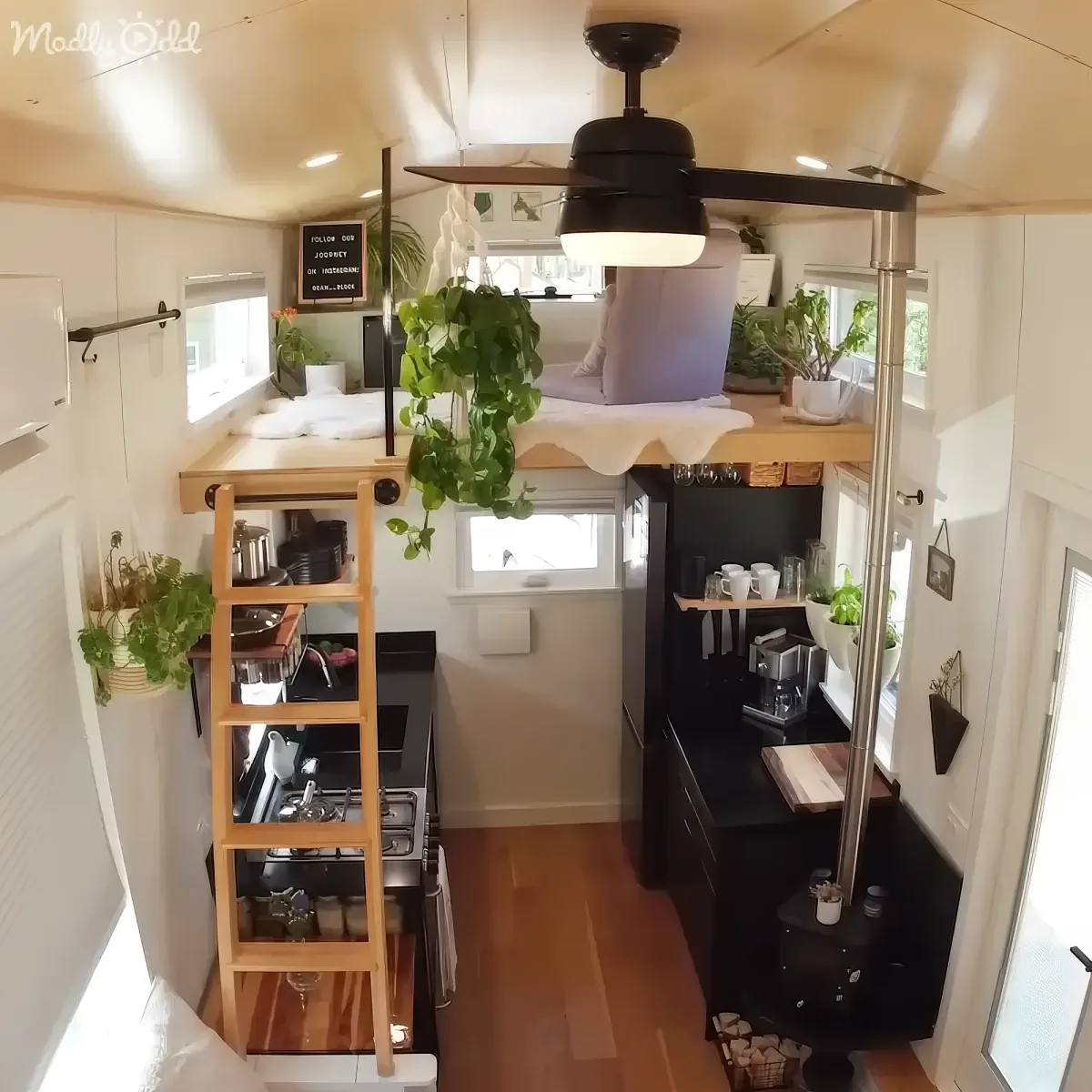 A cozy, compact living space with a loft bed, kitchenette, and plants, all efficiently arranged in a small area.