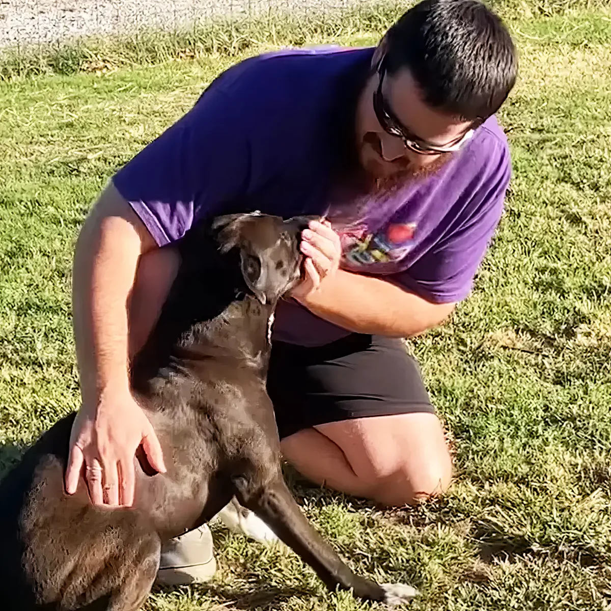 Joyful adoption day for lonely pitbull