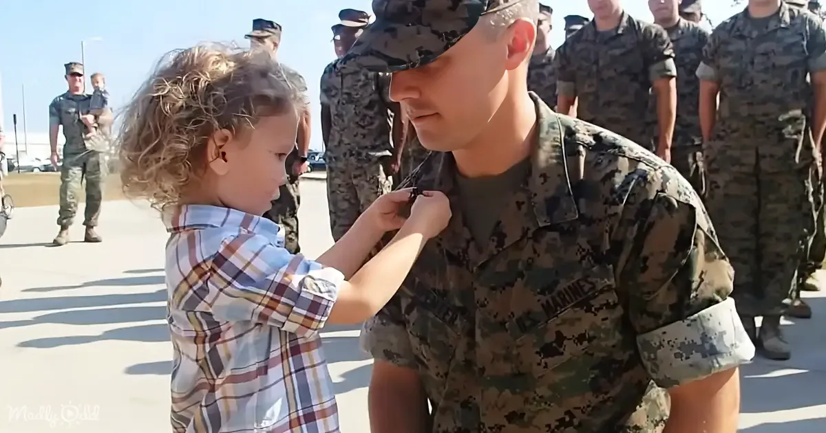 The Cutest Marine Corps Promotion Ever - 3-Year-Old Son Pins Dad's New Rank
