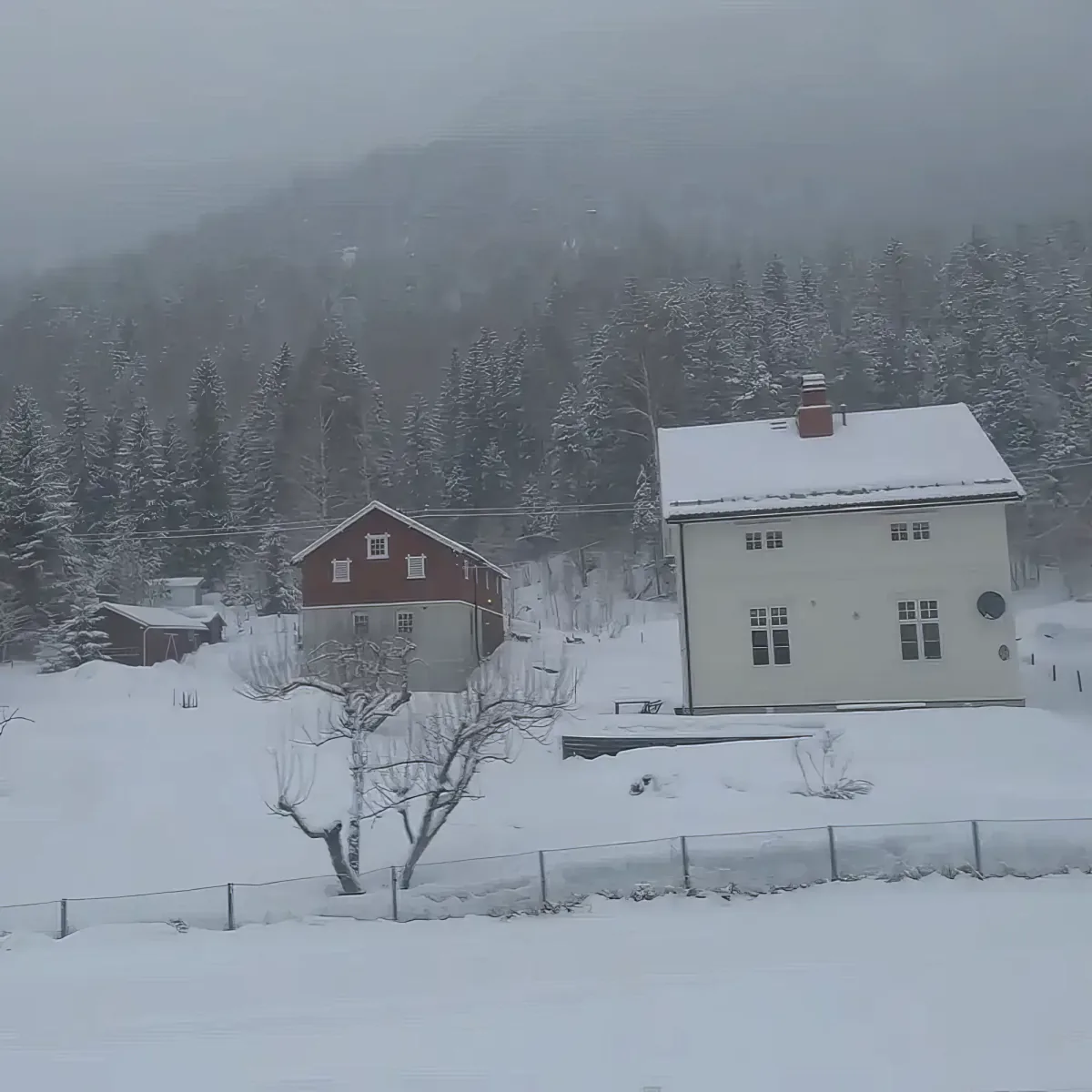 Discover the winter wonderland through the train window.