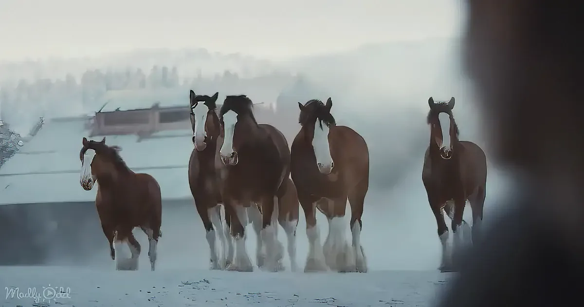 Five horses run together in a snowy landscape, their breath visible in the cold air.