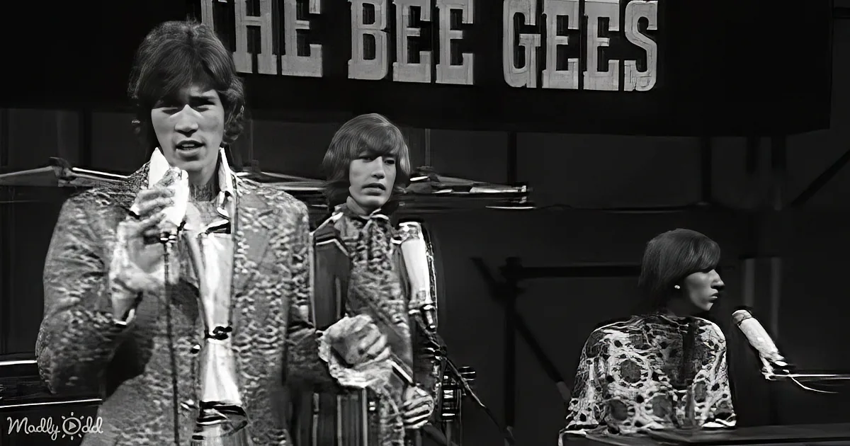 Lose Yourself in the Bee Gees' Most Heart-Stirring Song, 1967's 'to Love Somebody