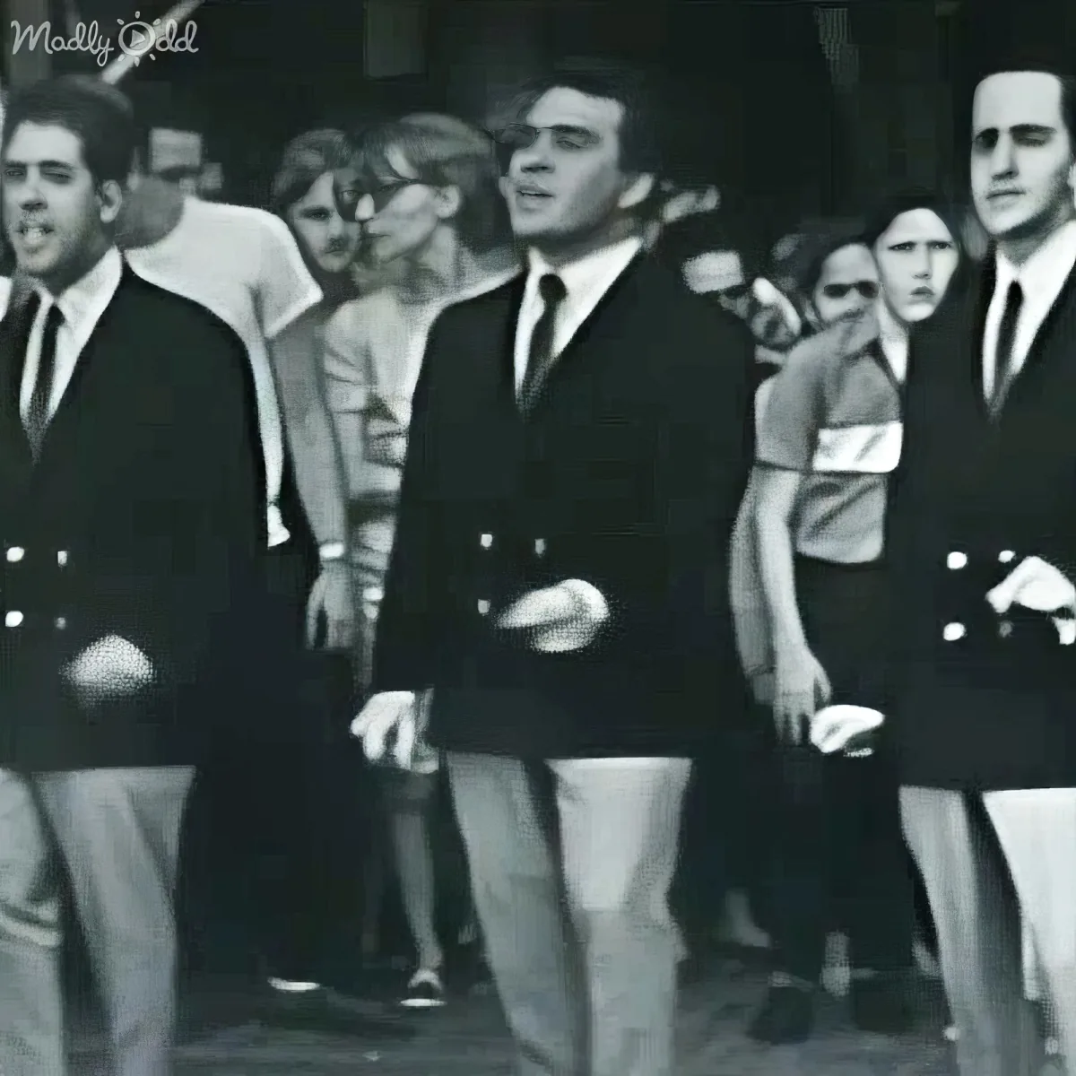 The Vogues perform Five O'Clock World live