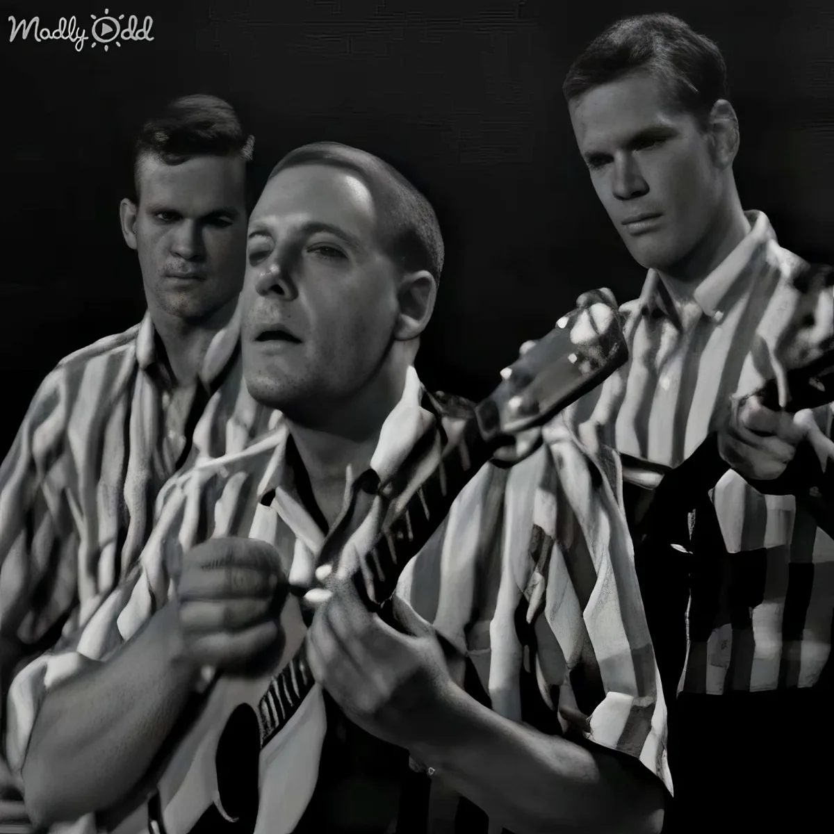 Banjo player of The Kingston Trio