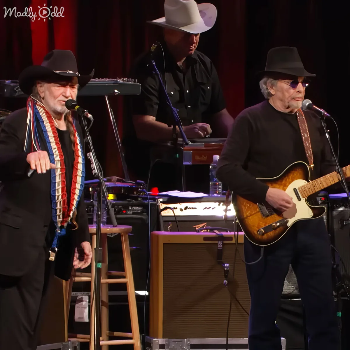 Willie and Merle singing on stage