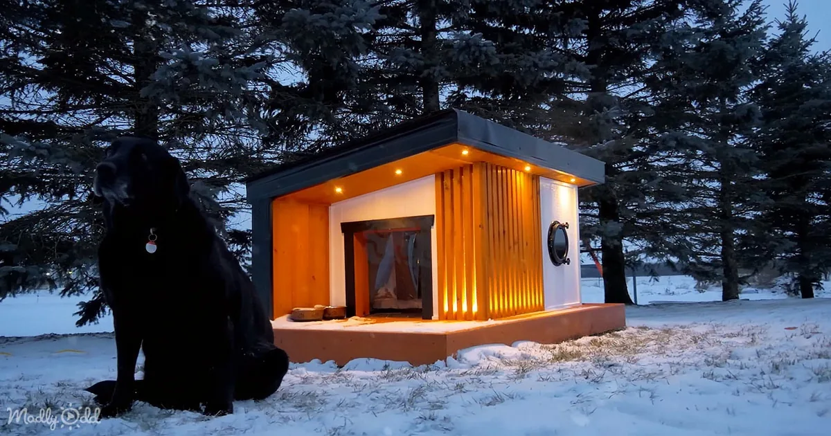 Spoil Your Pup All Year in This Diy Insulated Luxury Doghouse