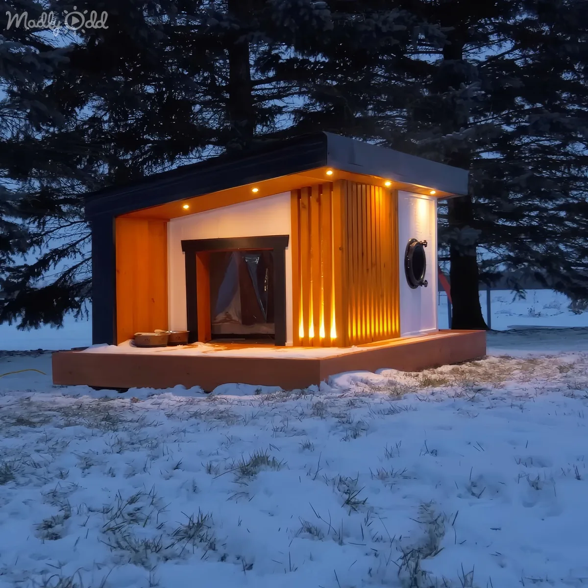 Inside view of insulated dog house