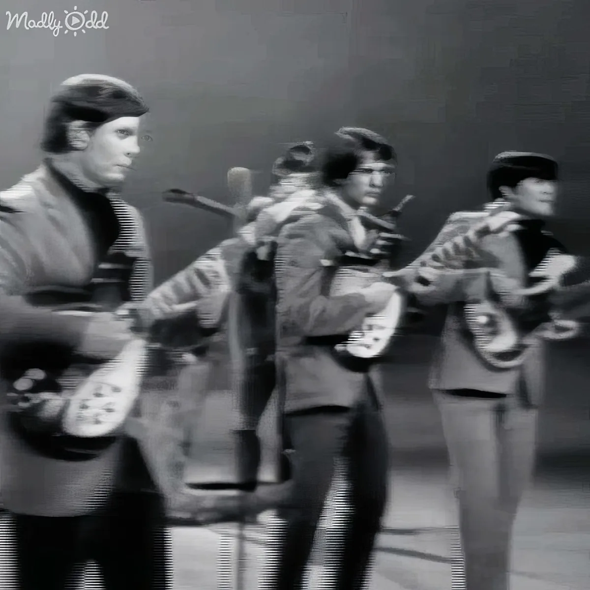 Close-up of The Turtles singing
