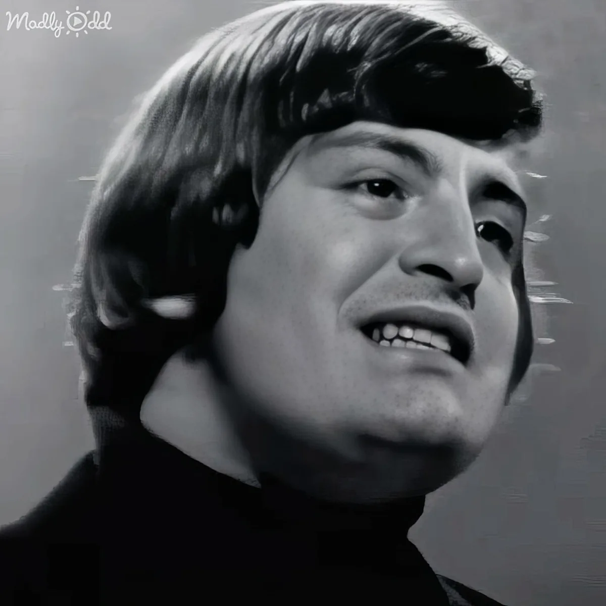 The Turtles performing 'You Baby'