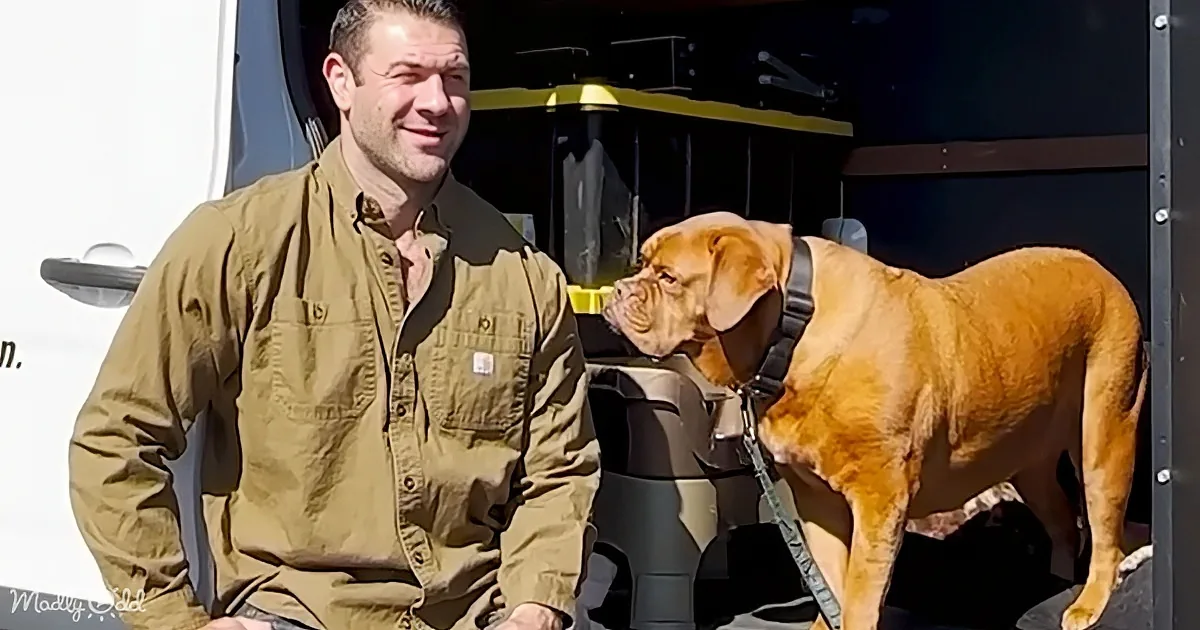 Trembling 13 Year-Old-Dog Finally Trusts as Her New Chapter Unfolds