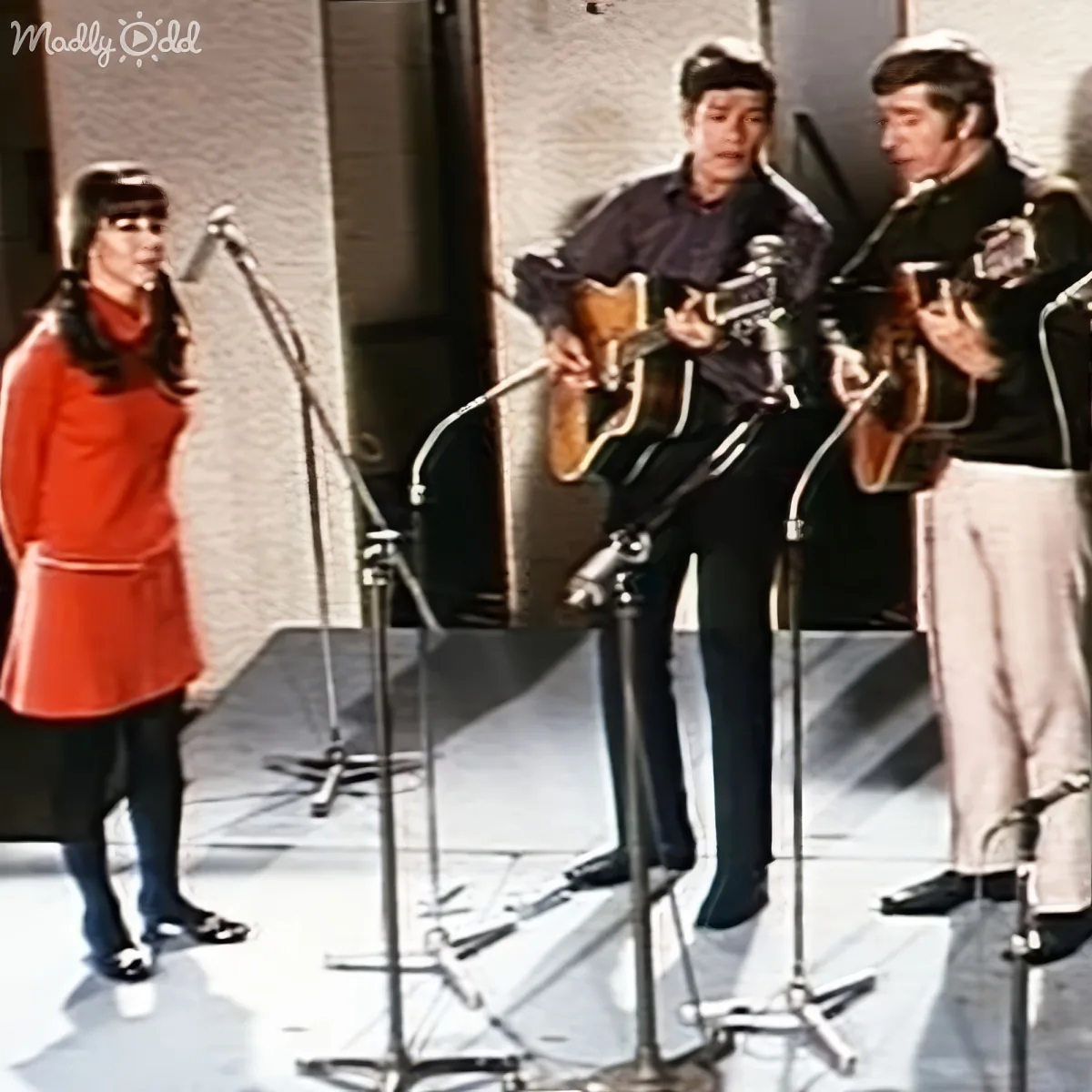 The Seekers bring 'I'll Never Find Another You' to life with vibrant harmonies