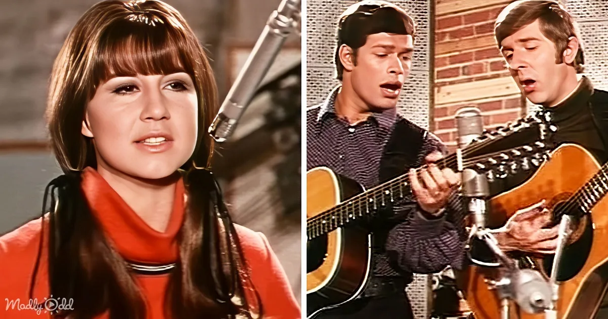 The Seekers' 1964 Ballad 'I'll Never Find Another You' Still Endures After All This Time
