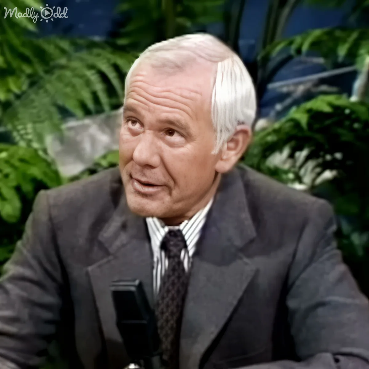 A man in a suit and tie is seated, speaking, with a tropical backdrop.