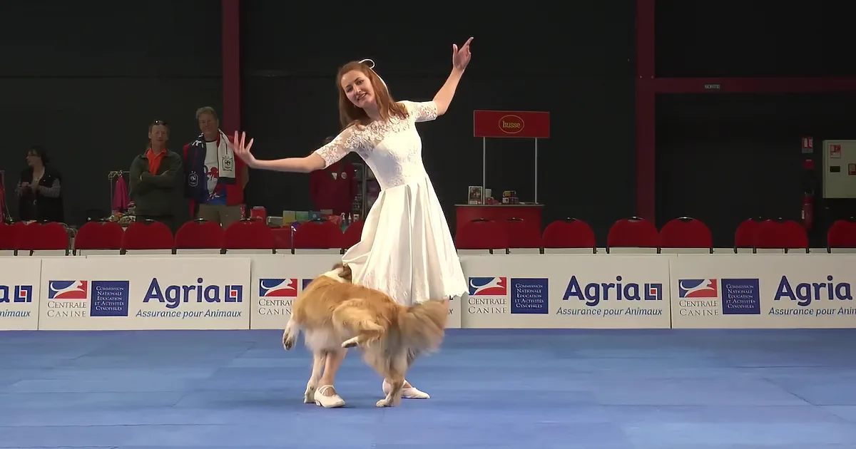 Border Collie & Mom Dance Their Way to World Championship Glory