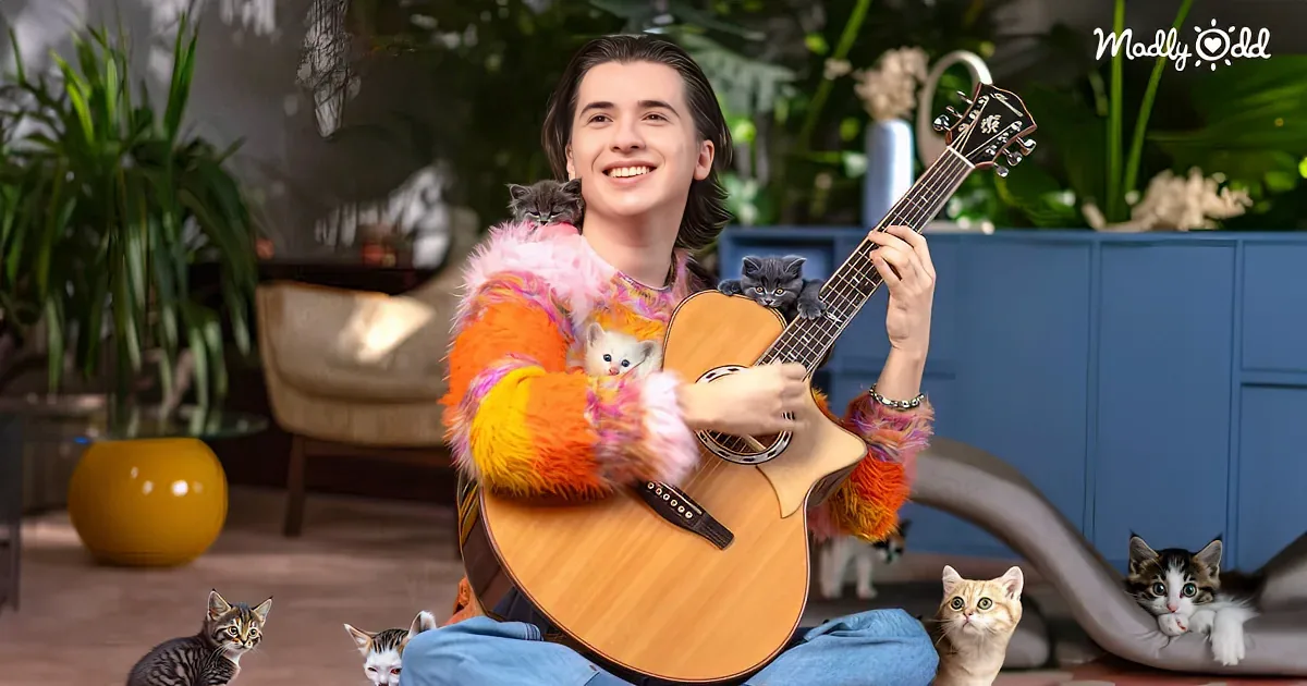 A person in a colorful outfit holds a guitar, surrounded by kittens, in a cozy room with plants.