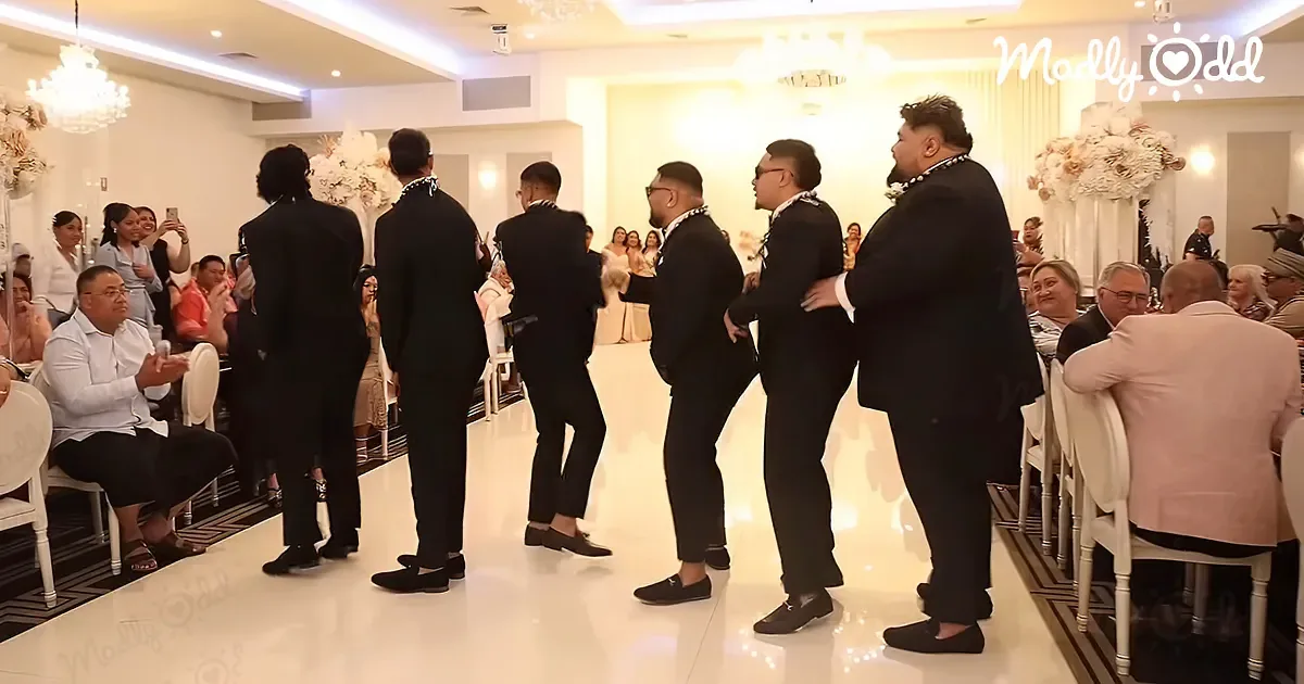 6 Groomsmen Unleash an Epic Dance Tsunami at Wedding Reception