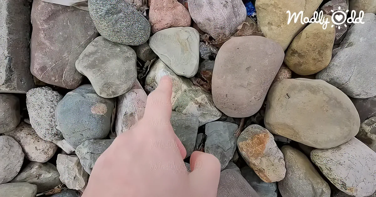 Dad Finds 'Ordinary' Rock in Parking Lot, Reveals Dazzling Gemstone Inside - 'They're Everywhere'