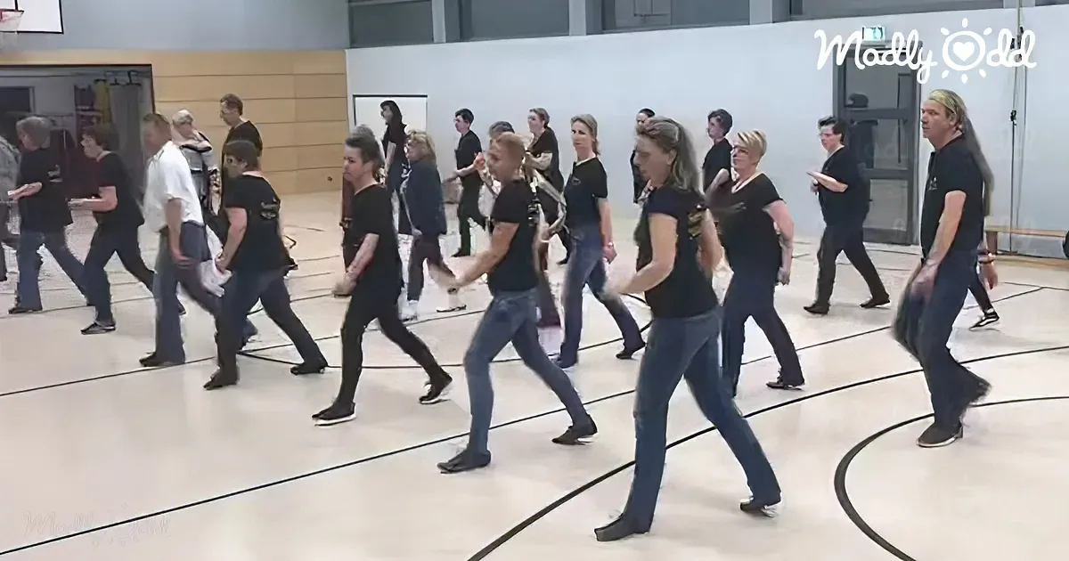 Line Dancers Strut Their Stuff to John Denver''s ''Country Roads''