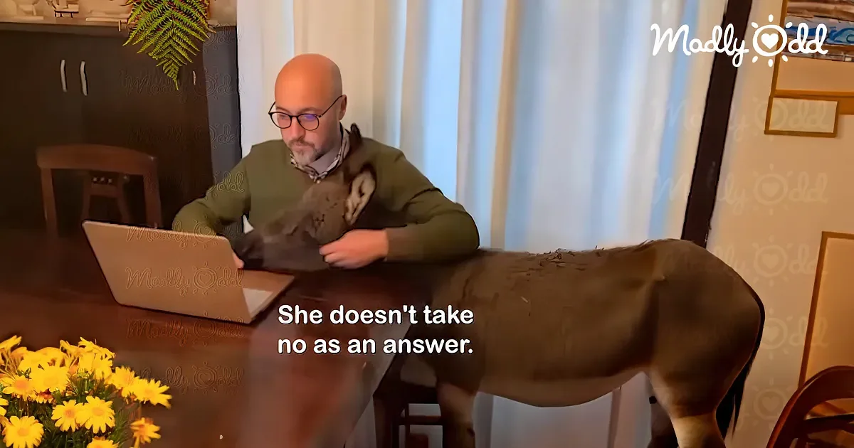 A man works on a laptop at a table, with a dog standing on the table beside him.
