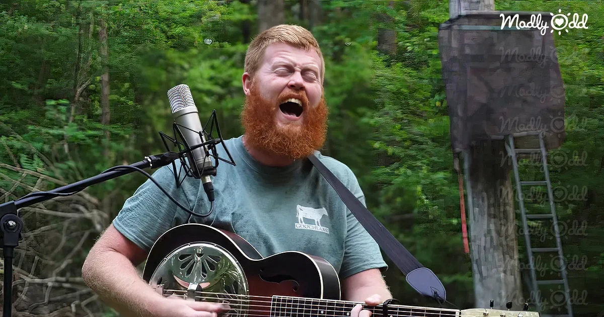 Country Boy's Anthem Hits a Nerve With Folks Who Are Fed Up!