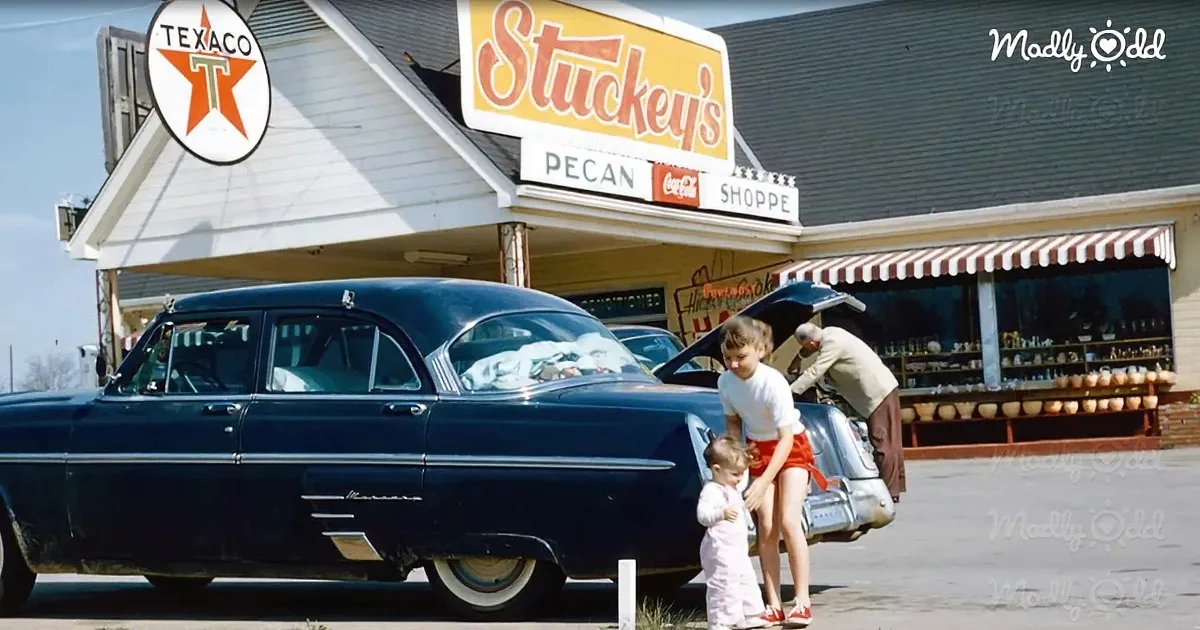 Take a Joyride Back to the 1950s When Cars Were More Than Just Metal
